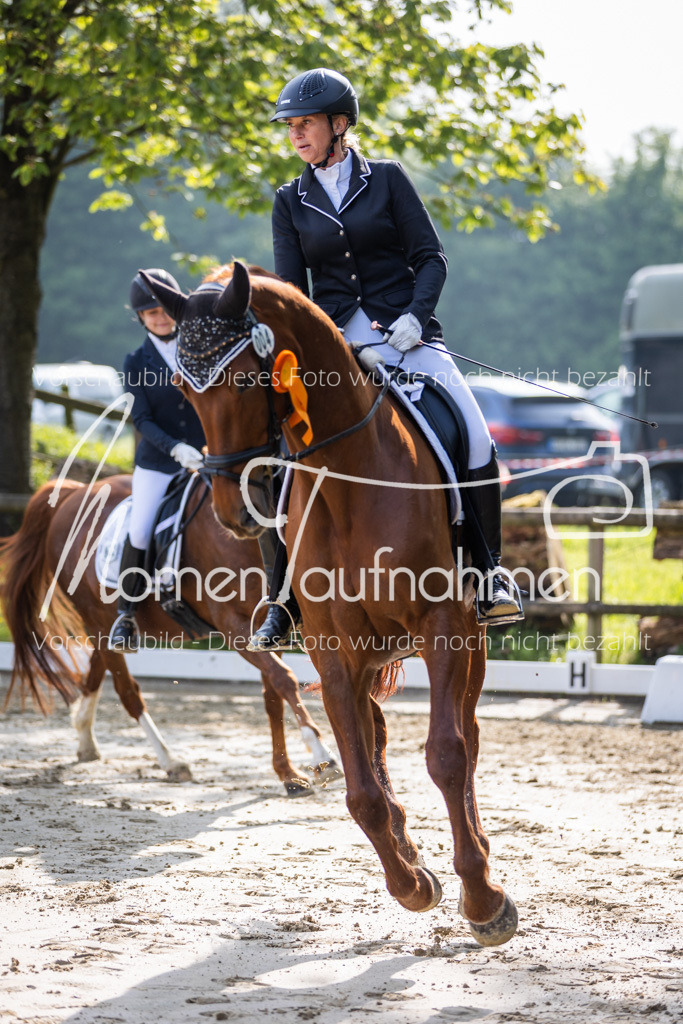 Donop24-A-Dre-166 | MomenTaufnahmen Pferdesportfotos