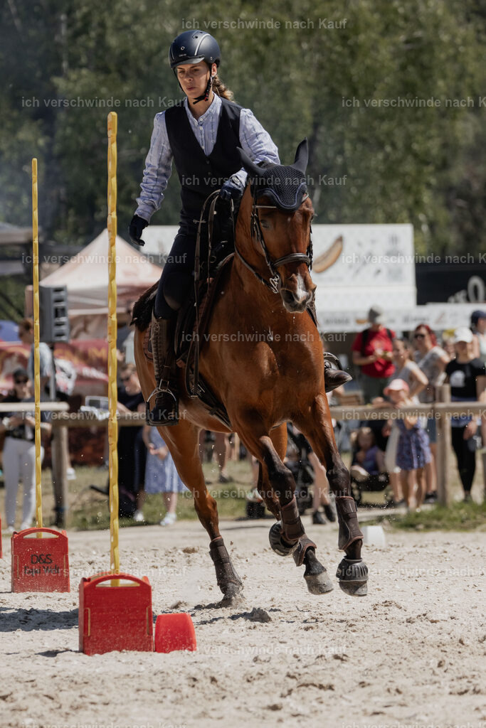 WE_SP_Stoib_343_PI2025_1784 | Pferd International München 2025