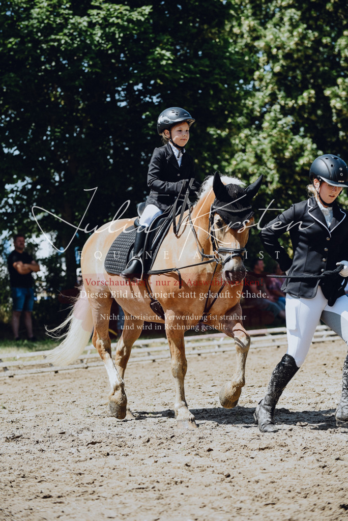 DSC_2531 | Pferde- und Turnierfotografie in Westsachsen. Pferdeportraits, Auftragszeichnungen und intuitive Kunst.