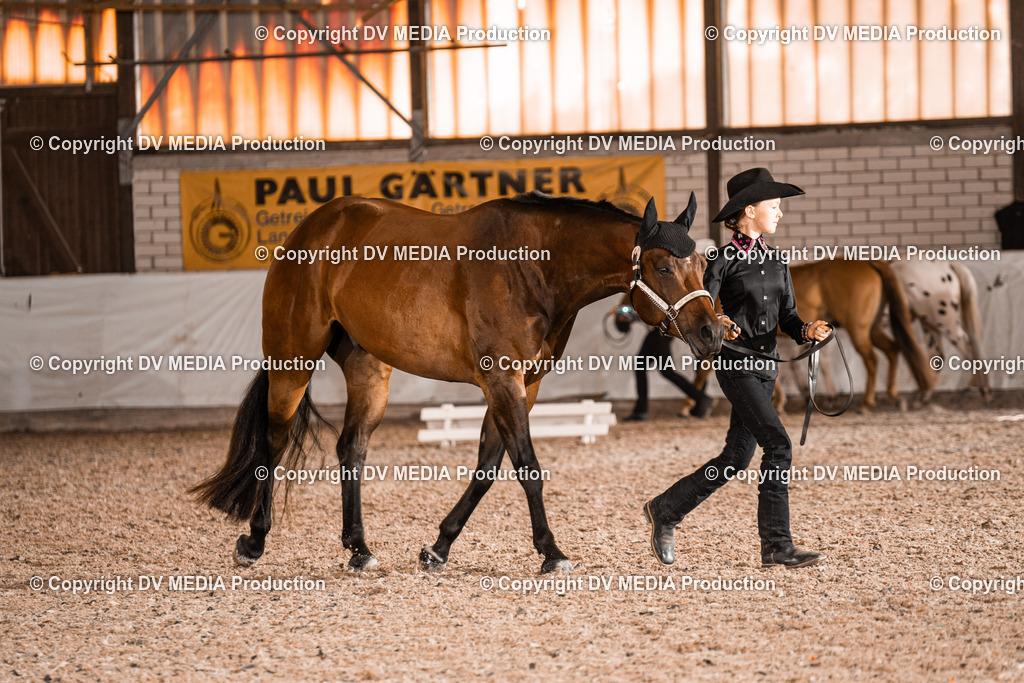 ZH200099 | dv-media-shop - Realisiert mit Pictrs.com