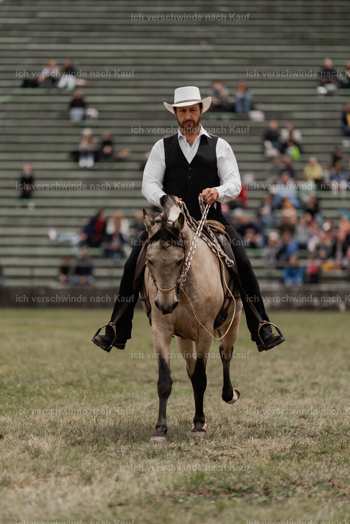 Showprogramm-201 | working equitationturnier fotograf videograf stoibphotography marixx film working equitation deutschland reitsport turnierfotografie eventfotografie equestrian events