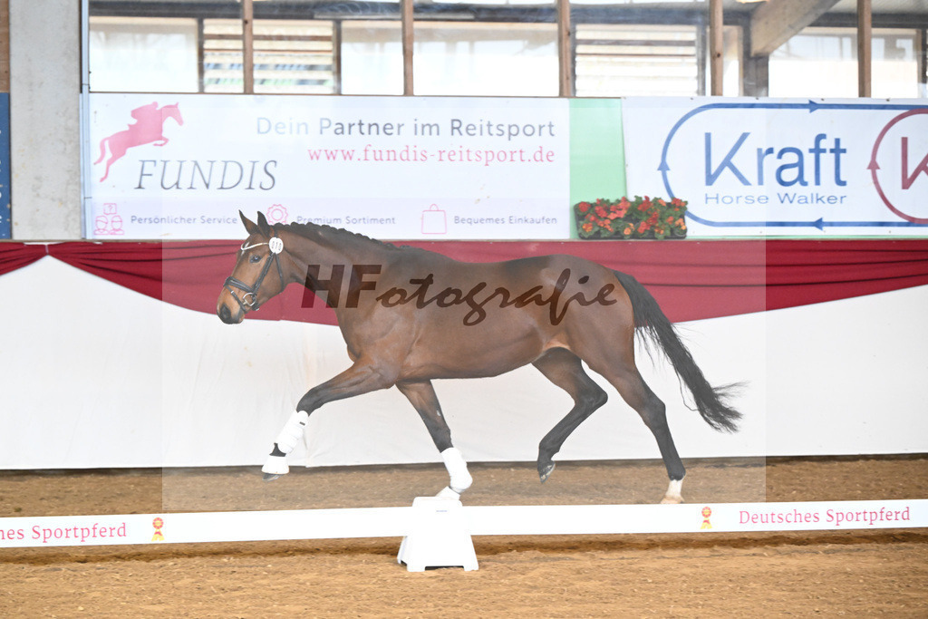 Kat-Nr. 10 Tessa tanzt v. Toto Jr_7 | hf-fotografie - Realizzato con Pictrs.com
