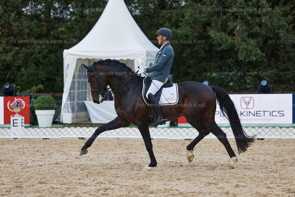 8_2-102-DRESSUR S_  -StoibPH-4456 | working equitationturnier fotograf videograf stoibphotography marixx film working equitation deutschland reitsport turnierfotografie eventfotografie equestrian events