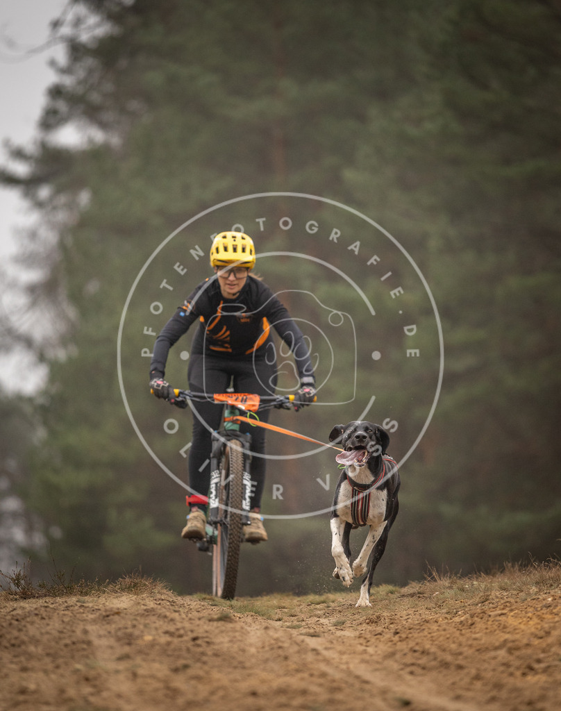Pfotenfotografie_DV3A2562 | Hundefotografie, Tierfotograf, Pfotenfotografie, Fotoshooting Hund, Hunde Portrait, Hundesport, Hundeportraits, Heideshooting, Hunde, Sportfotograf, Hundefotograf, Turnierhundsport, THS,  - Realisiert mit Pictrs.com