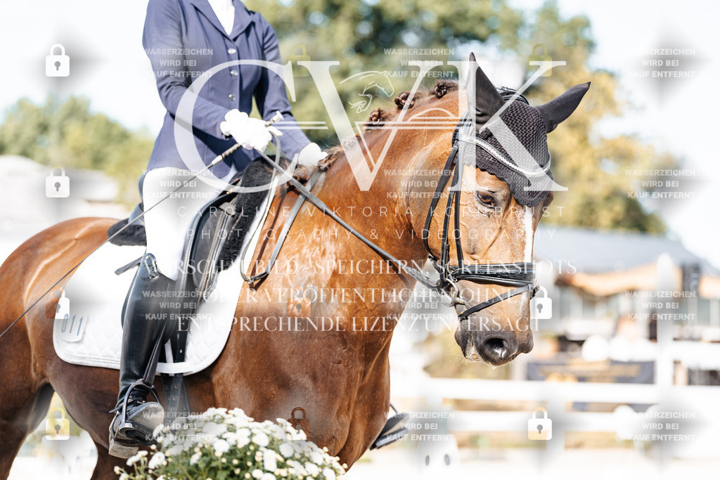 CK905211 | Turnierfotografie Pferdefotografie Trier Rheinland-Pfalz Pferdesport Reitsport Tierfotografie Sportfotografie Pferdevideo Pferdevideografie Equestrianvideography equestrianphotography  - Realisiert mit Pictrs.com