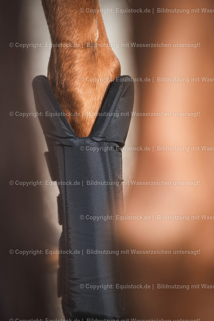 20191030_Wärmegamaschen_0011 | equistock