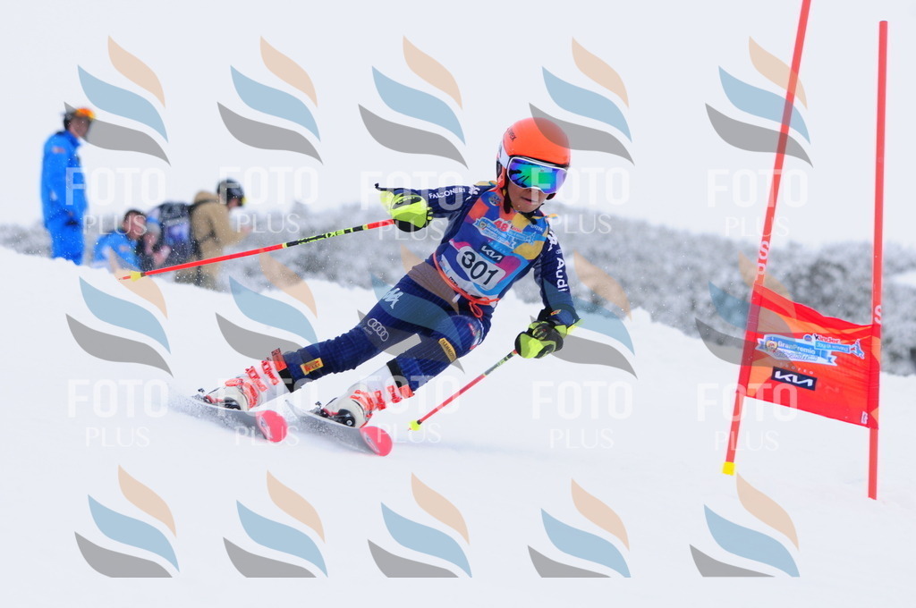 C3191 | holidayphoto