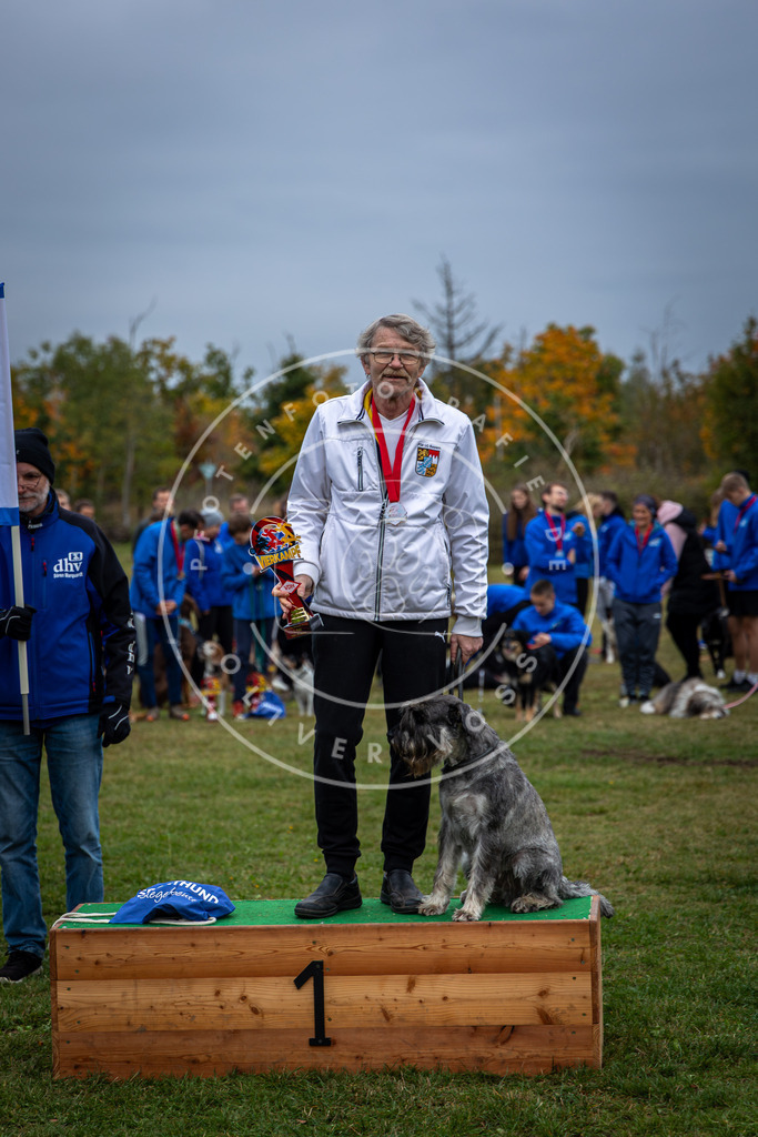 Pfotenfotografie_0L8A0682 | Hundefotografie, Tierfotograf, Pfotenfotografie, Fotoshooting Hund, Hunde Portrait, Hundesport, Hundeportraits, Heideshooting, Hunde, Sportfotograf, Hundefotograf, Turnierhundsport, THS,  - Realisiert mit Pictrs.com