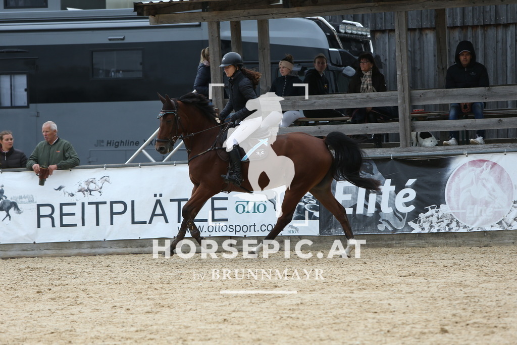 DL2Q1400 | Willkommen bei Brunnmayr - Design & Fotografie – Ihrem Spezialisten für Reitturniere und Pferdeveranstaltungen in Oberösterreich, Salzburg und Bayern! Seit über 17 Jahren sind wir leidenschaftlich dabei.