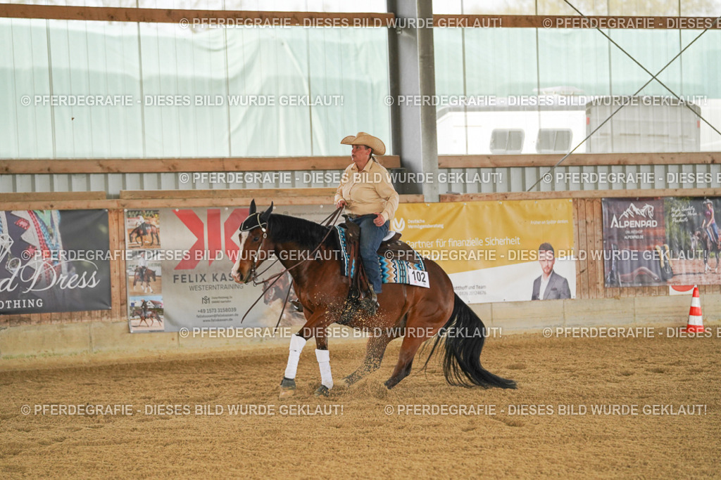 DSC07162 | Pferdegrafie