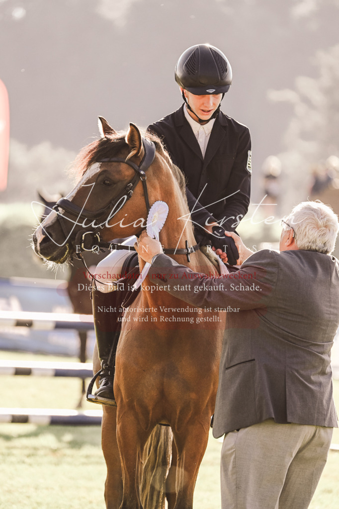DSC_4603 | Pferde- und Turnierfotografie in Westsachsen. Pferdeportraits, Auftragszeichnungen und intuitive Kunst.