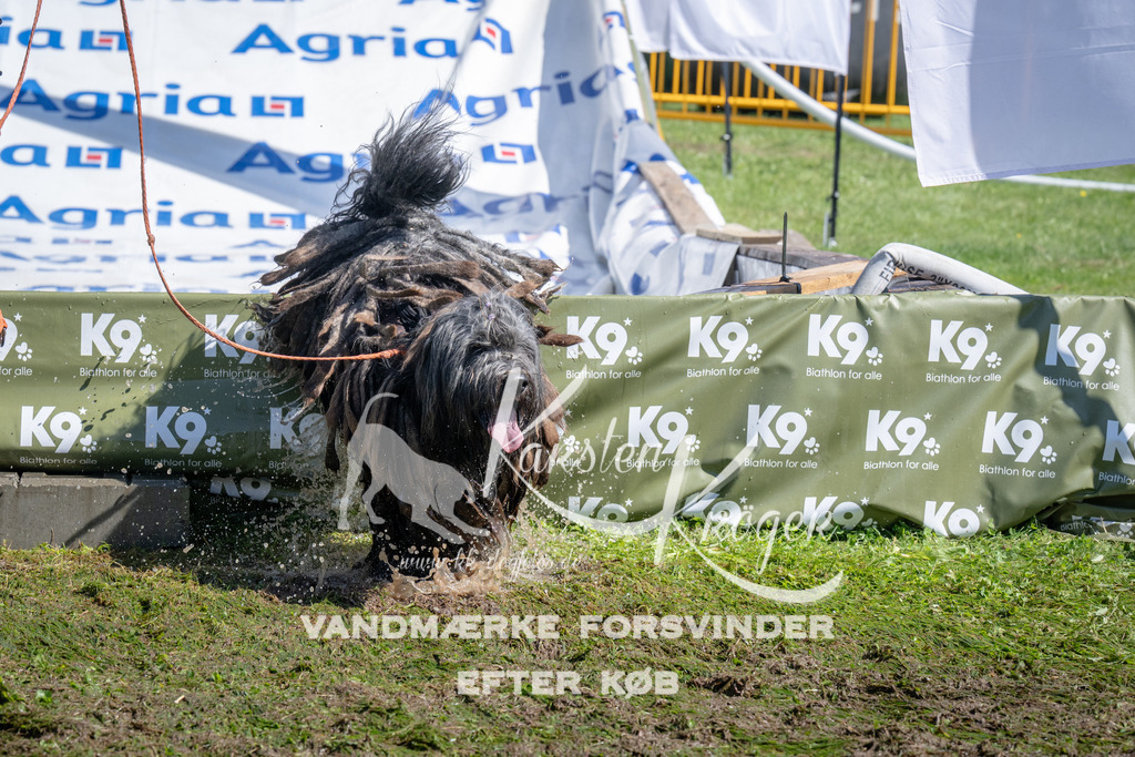 1206_ZZ94829 | kk-dogfotos