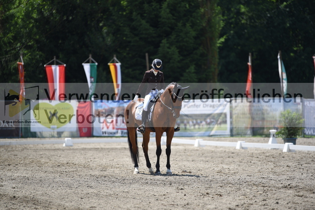 DSC_1061 | equestrian-live-com