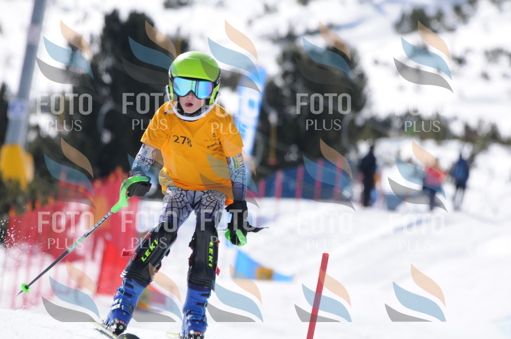 C9007 | holidayphoto