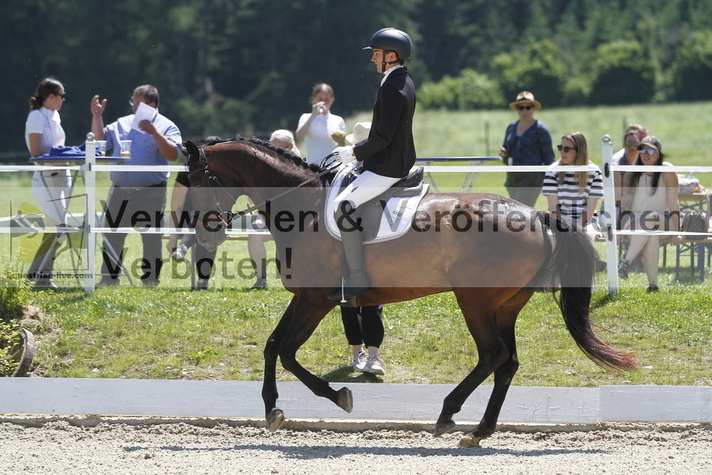 _MG_6699 | equestrian-live-com