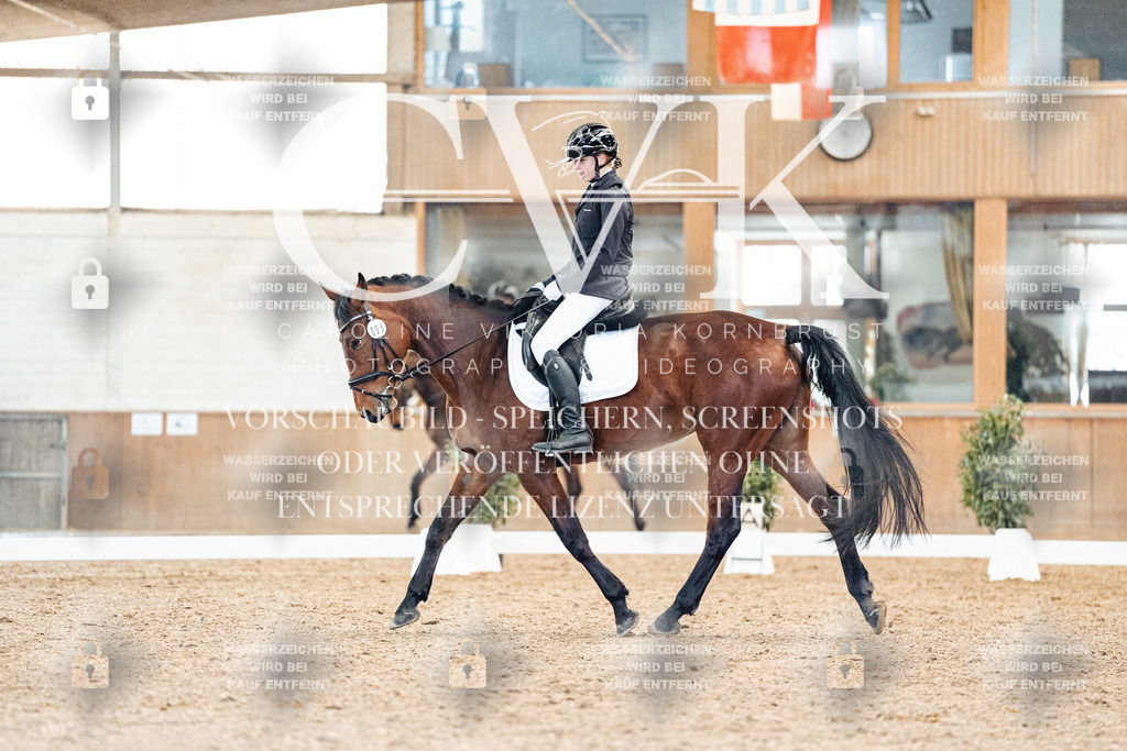 CK908678 | Turnierfotografie Pferdefotografie Trier Rheinland-Pfalz Pferdesport Reitsport Tierfotografie Sportfotografie Pferdevideo Pferdevideografie Equestrianvideography equestrianphotography  - Realisiert mit Pictrs.com