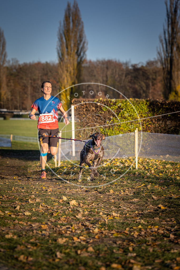 CaniXpix_DV3A4364 | Hundefotografie, Tierfotograf, Pfotenfotografie, Fotoshooting Hund, Hunde Portrait, Hundesport, Hundeportraits, Heideshooting, Hunde, Sportfotograf, Hundefotograf, Turnierhundsport, THS,  - Realisiert mit Pictrs.com