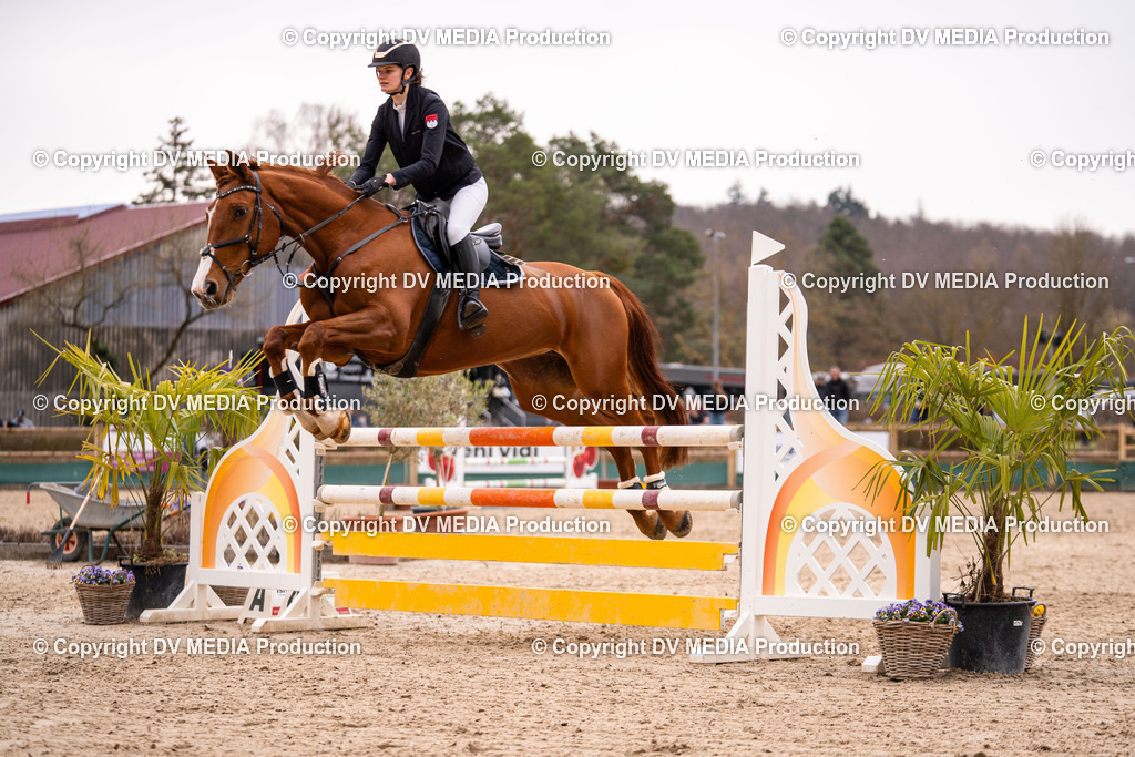 Kranichstein Tag 2-453 | dv-media-shop - Realisiert mit Pictrs.com