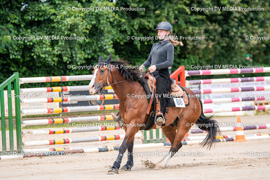 Zeiskam Tag 3-780 | dv-media-shop - Realisiert mit Pictrs.com