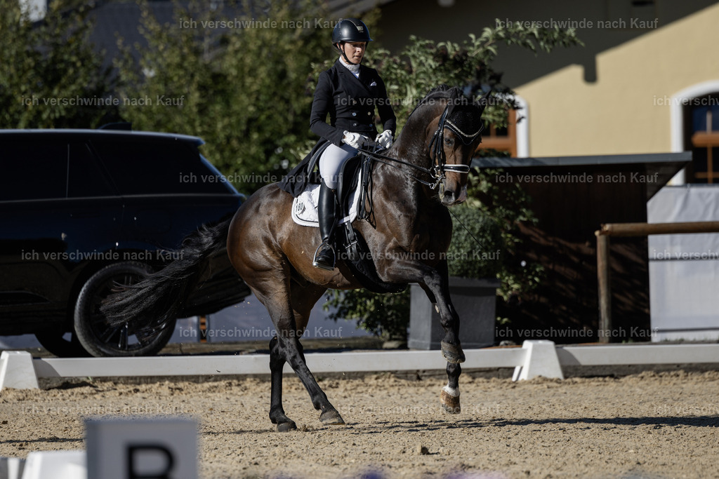 FHC2026_P09_180_18660 | Fichtenhof Classics 2026 – Grand Prix de Dressage - VOLTAIRE Design Preis, Reitanlage Fichtenhof, Sch ftlarn