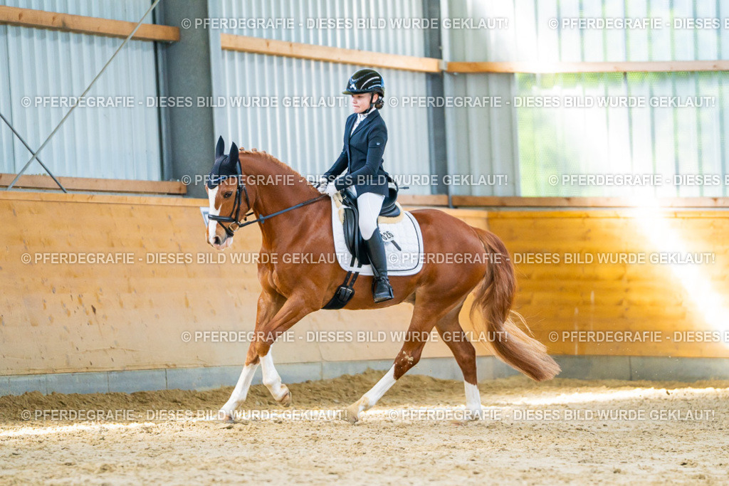 DSC06887 | Pferdegrafie