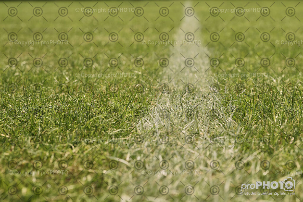 202507_Rernböck-Rasen_NZ9_1425 | proPHOTO - Realisiert mit Pictrs.com