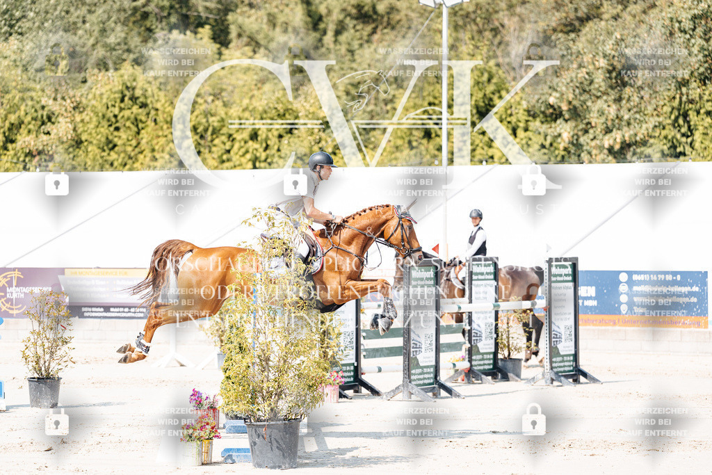 CK901458 | Turnierfotografie Pferdefotografie Trier Rheinland-Pfalz Pferdesport Reitsport Tierfotografie Sportfotografie Pferdevideo Pferdevideografie Equestrianvideography equestrianphotography  - Realisiert mit Pictrs.com