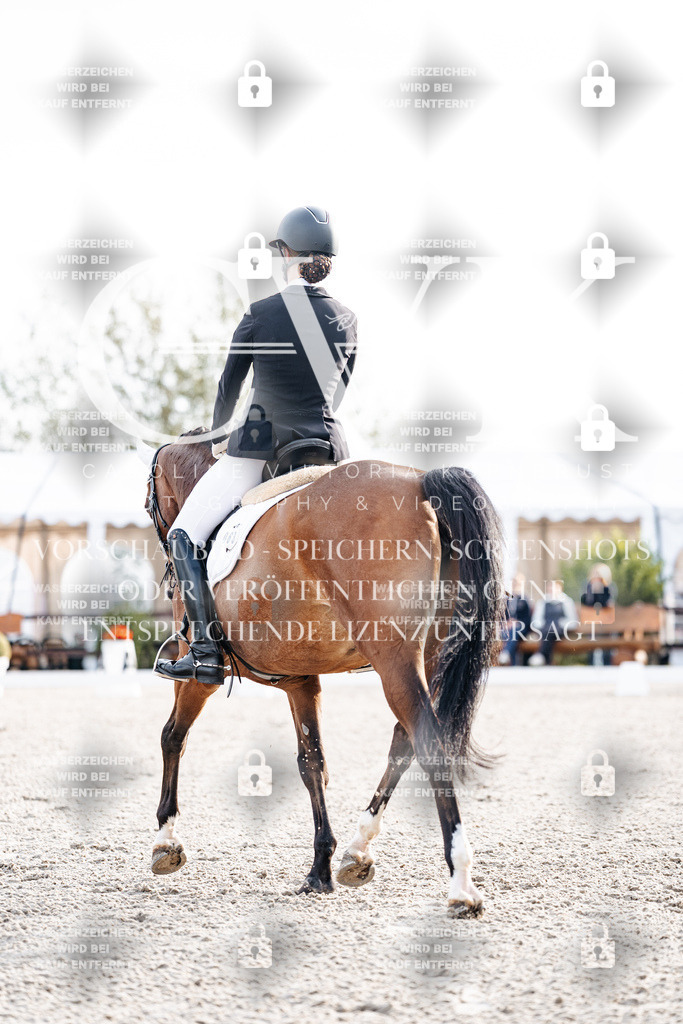 CK900468 | Turnierfotografie Pferdefotografie Trier Rheinland-Pfalz Pferdesport Reitsport Tierfotografie Sportfotografie Pferdevideo Pferdevideografie Equestrianvideography equestrianphotography  - Realisiert mit Pictrs.com