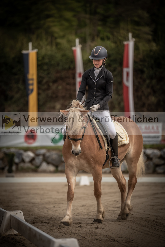 DSC_8120 | equestrian-live-com