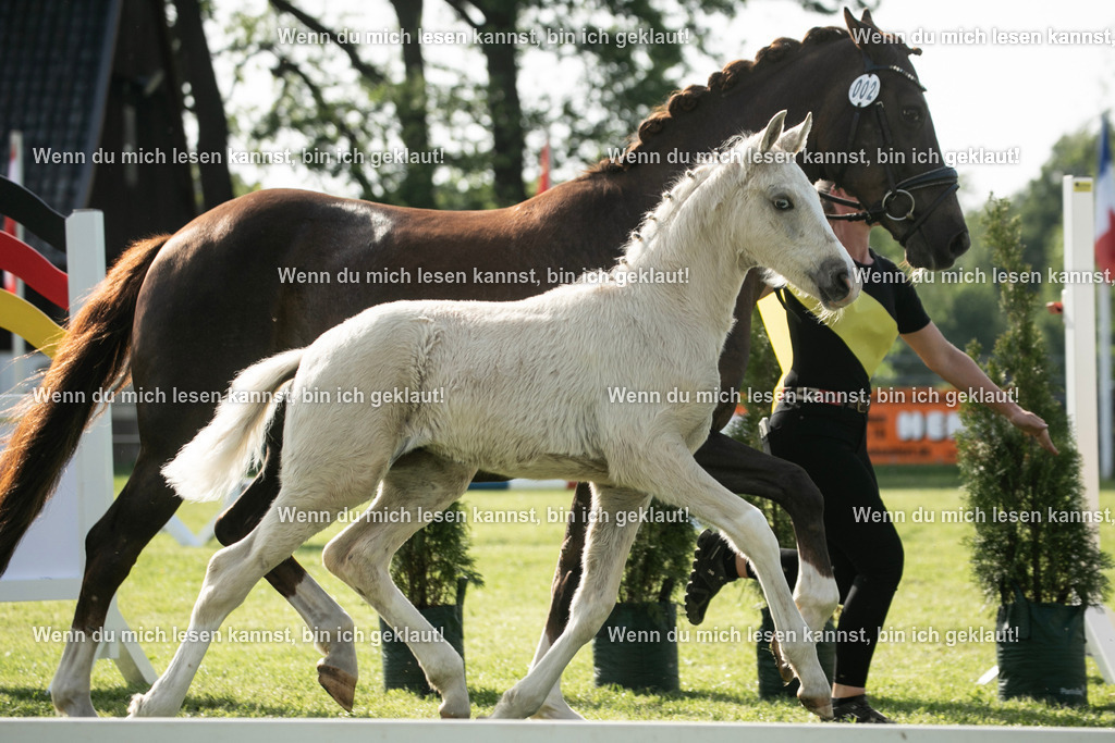 598A6998 | photographylinaismer - Realisiert mit Pictrs.com