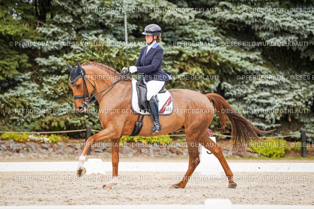 DSC07451 | Pferdegrafie