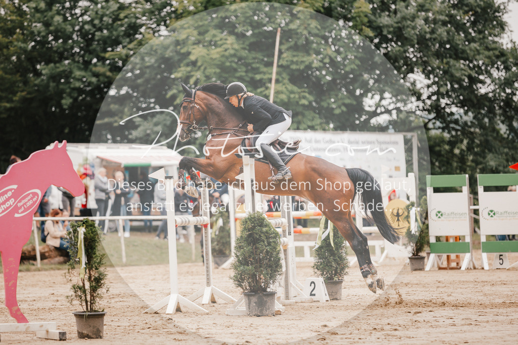 3I6A2228 | Stimmungsvolle Portraits und Reitsportfotografie im Ruhrgebiet und im Münsterland.

Pferdefotografie, Hundefotografie, Tierfotografie, Reportagen, Portraits von Tier und Mensch, Turnierfotografie in Bochum, Recklinghausen, Marl, Haltern am See, Dülmen.. - Realisiert mit Pictrs.com