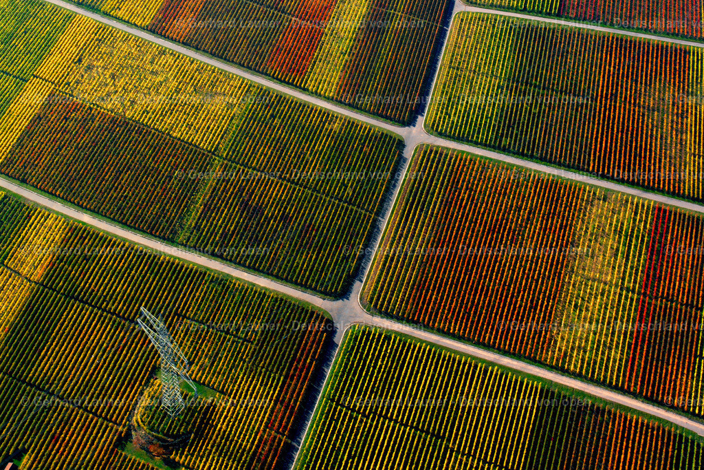 2580046 | Weinberge bei Stockheim