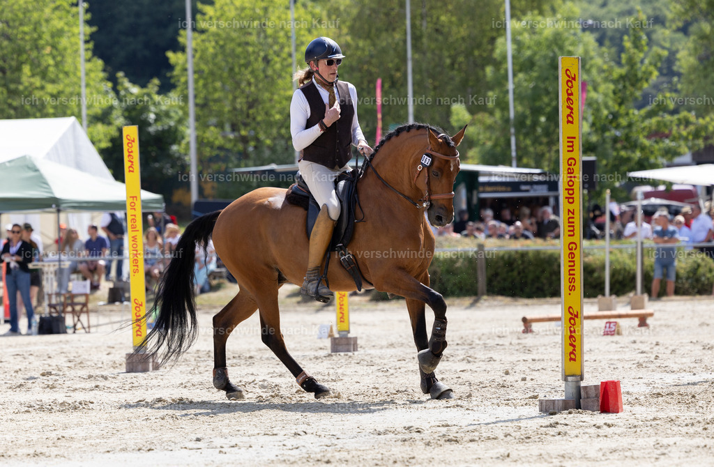 WS_SPEED62_KerstinBernhardt-5 | working equitationturnier fotograf videograf stoibphotography marixx film working equitation deutschland reitsport turnierfotografie eventfotografie equestrian events