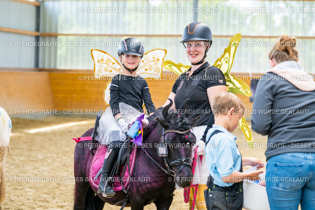 DSC00266 | Pferdegrafie