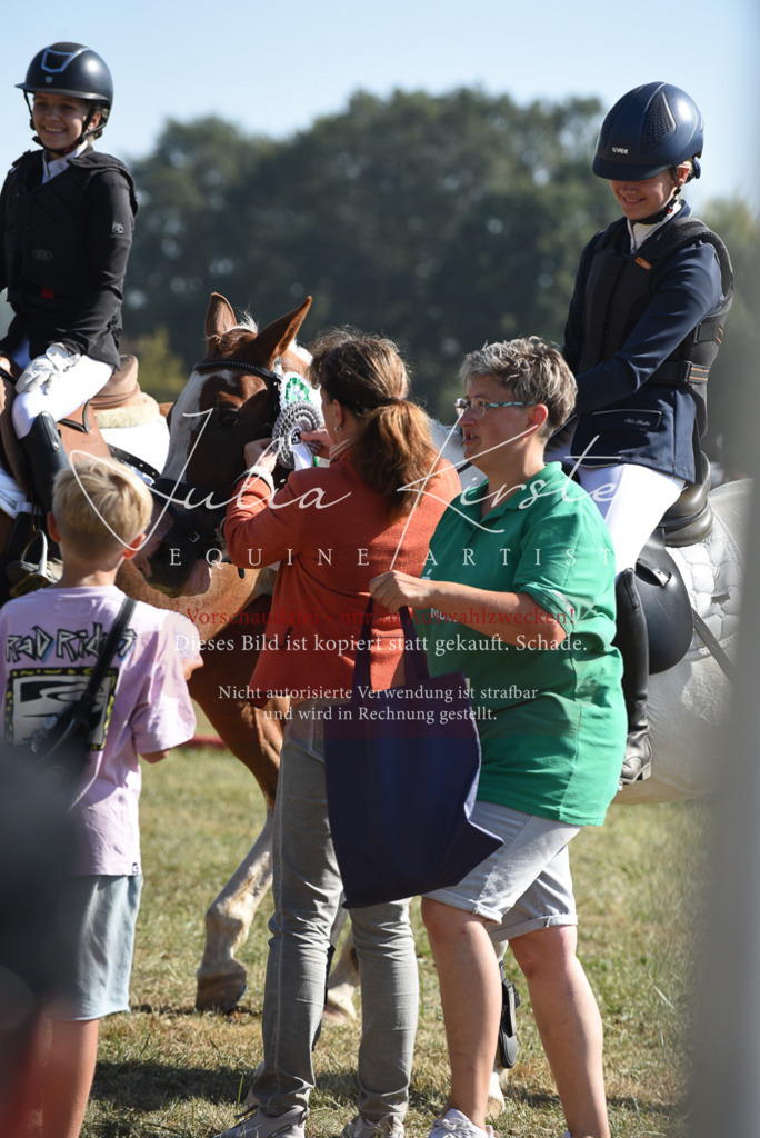 DSC_6187 | Pferde- und Turnierfotografie in Westsachsen. Pferdeportraits, Auftragszeichnungen und intuitive Kunst.
