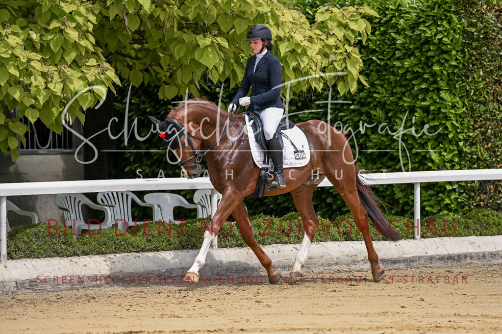 Schugtsche-Aluta25-48.Reitpferfdeprf.-118 | Schugtsche Fotografie - Realisiert mit Pictrs.com