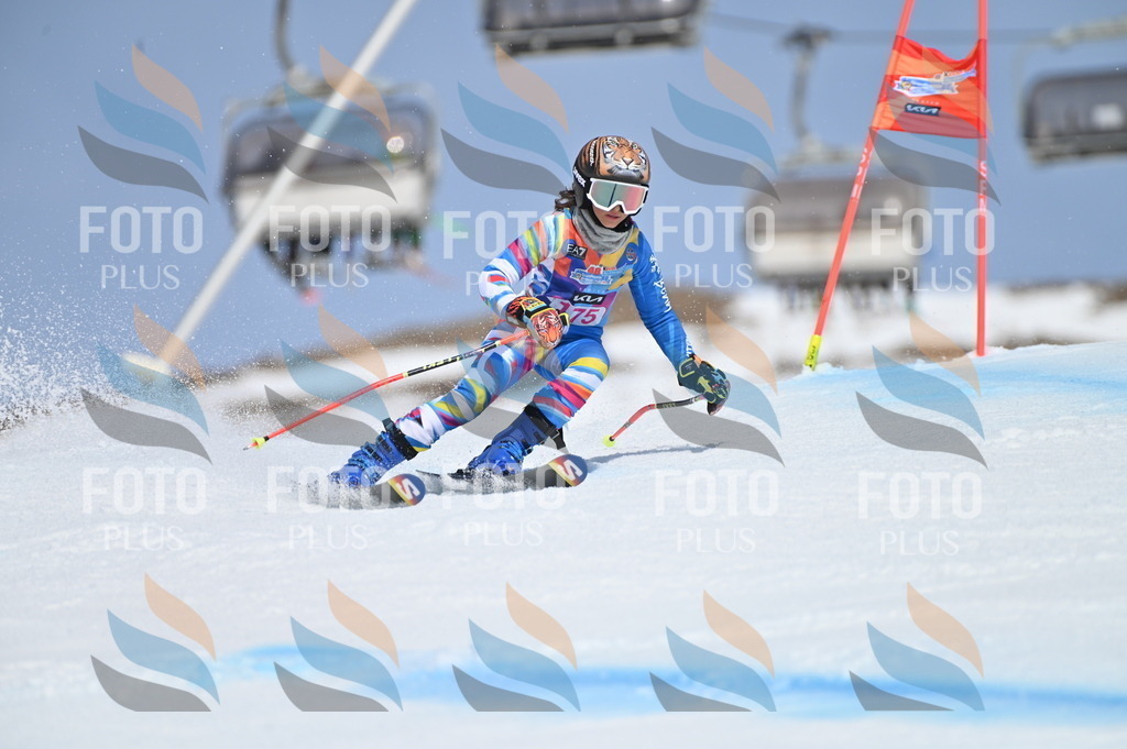 BGV_0520 | holidayphoto