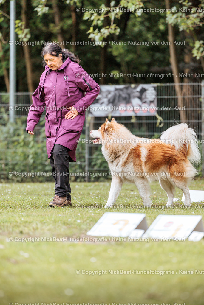 RO-Blumenthal-2026-Nickbest-Hundefotografie-2100 | Dein Hund! Dein Moment! Deine Erinnerungen! Hundefotografie in Bremen Blumenthal. Ich fange die besonderen Momente deines Vierbeiners ein – ob Indoor mit Blitzanlage oder in der freien Natur. Sicher dir dein Moment und dein Termin für eure Erinnerungen.