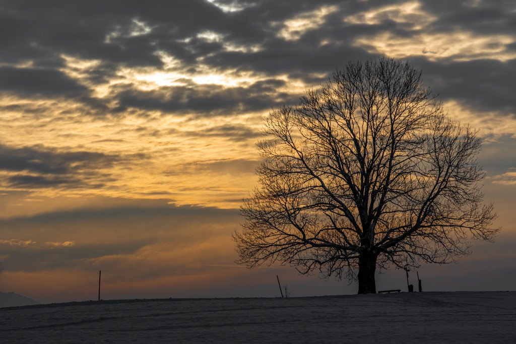 2023_01_24 A7C00527 | bridgeman - Realisiert mit Pictrs.com