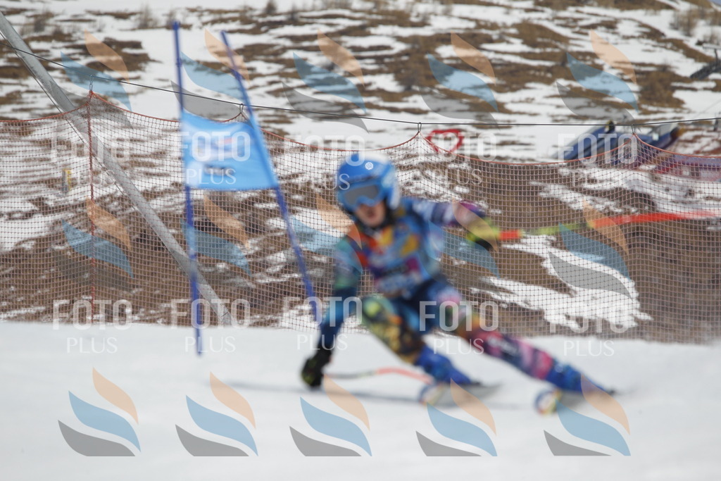 _U3G2485 | holidayphoto