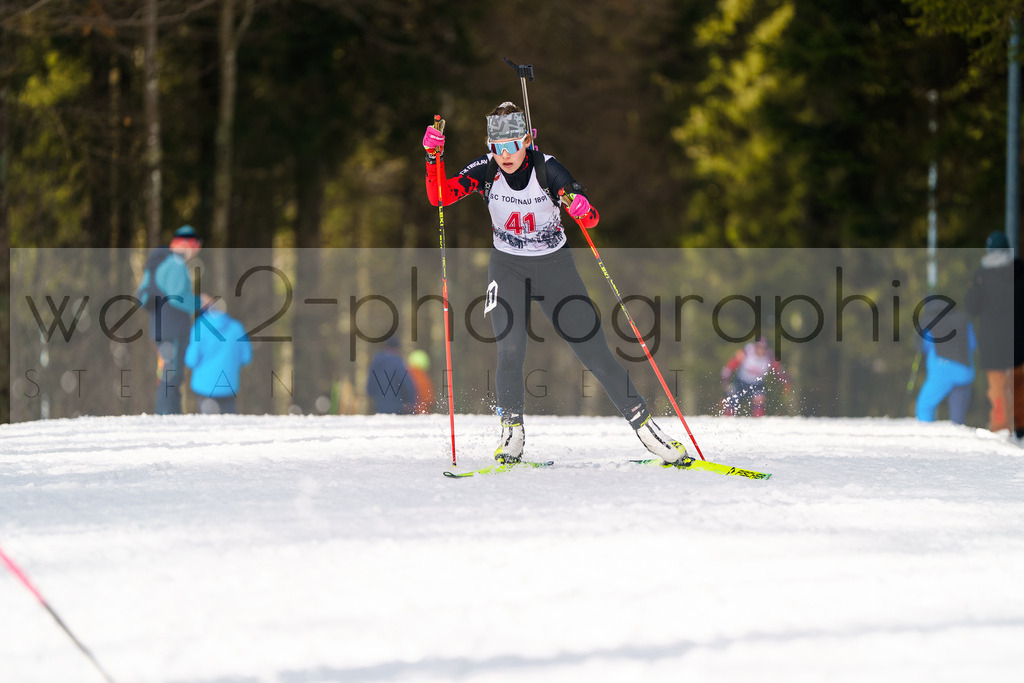 FESA Alpencup / DP Notschrei | Deutschland Pokal Finale im Schwarzwald NORDIC-CENTER Notschrei am 7. - 8. Februar 2026