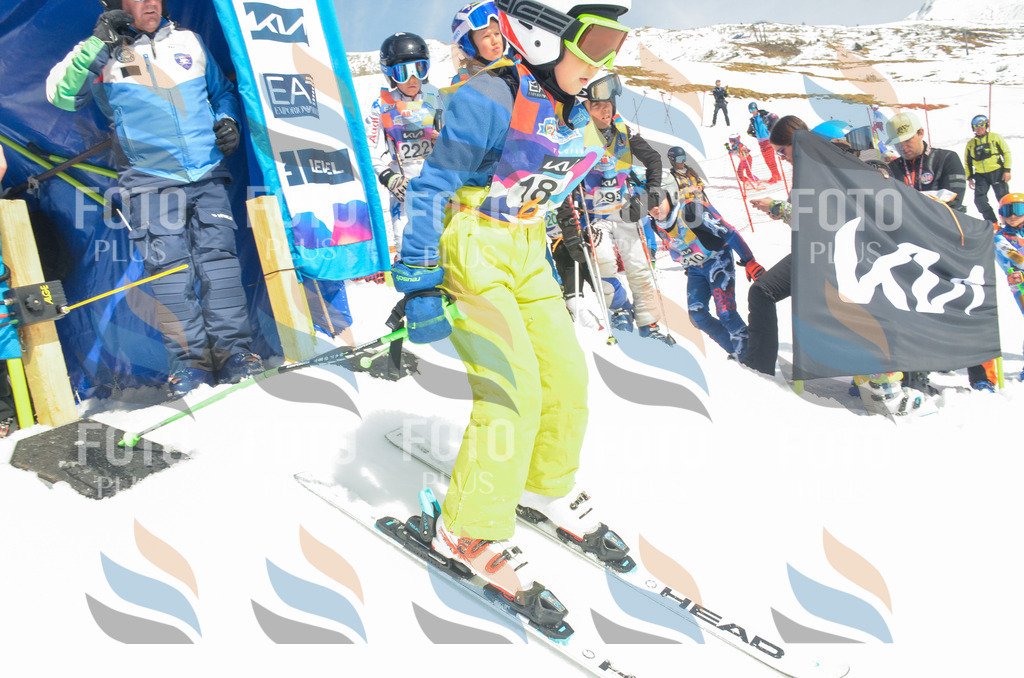 _ELE6720 | holidayphoto