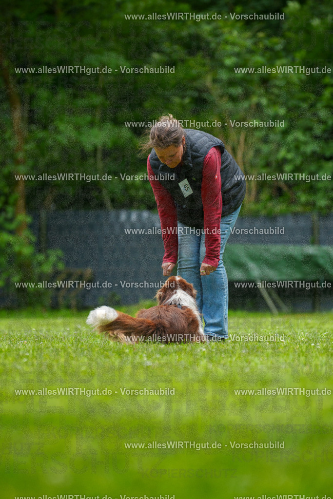 @allesWIRTHgut_Tierfotografie - www.allesWIRTHgut.de - 7R501499 | Professionelle Tierfotografie in Mönchengladbach von Daniel Wirth (allesWIRTHgut). Liebevolle & natürliche Bilder von Hunden & Katzen für unvergessliche Erinnerungen.
