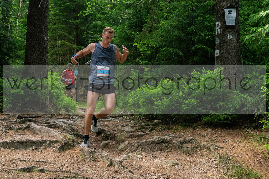 Rennsteig-Staffellauf 2019 | Hörschel bis Blankenstein am 22. Juni 2019