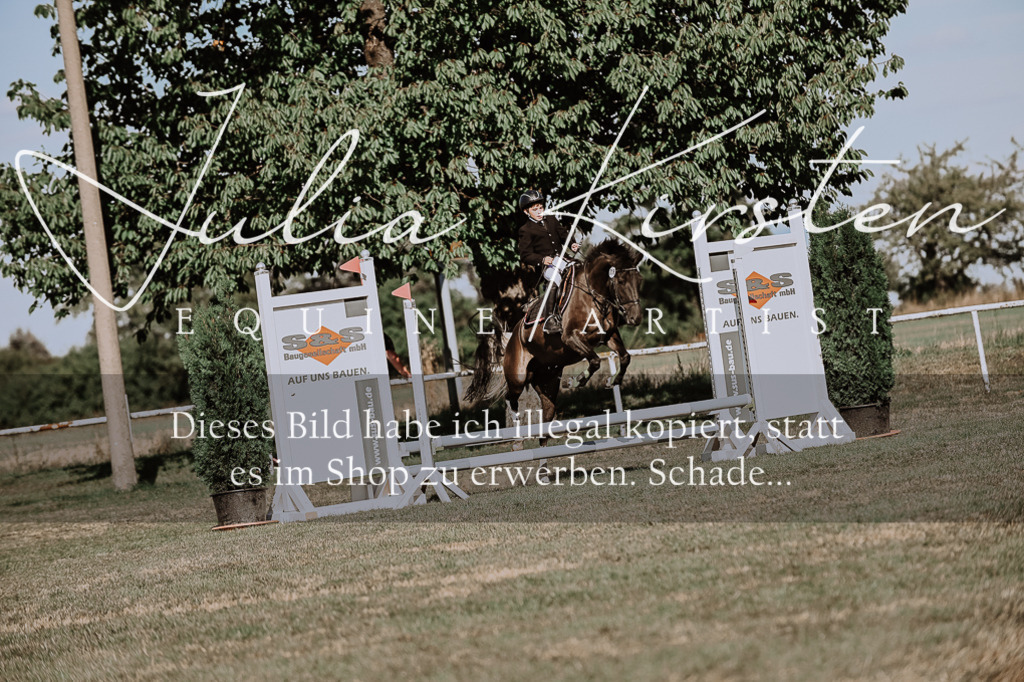 DSC_9456 | Pferde- und Turnierfotografie in Westsachsen. Pferdeportraits, Auftragszeichnungen und intuitive Kunst.