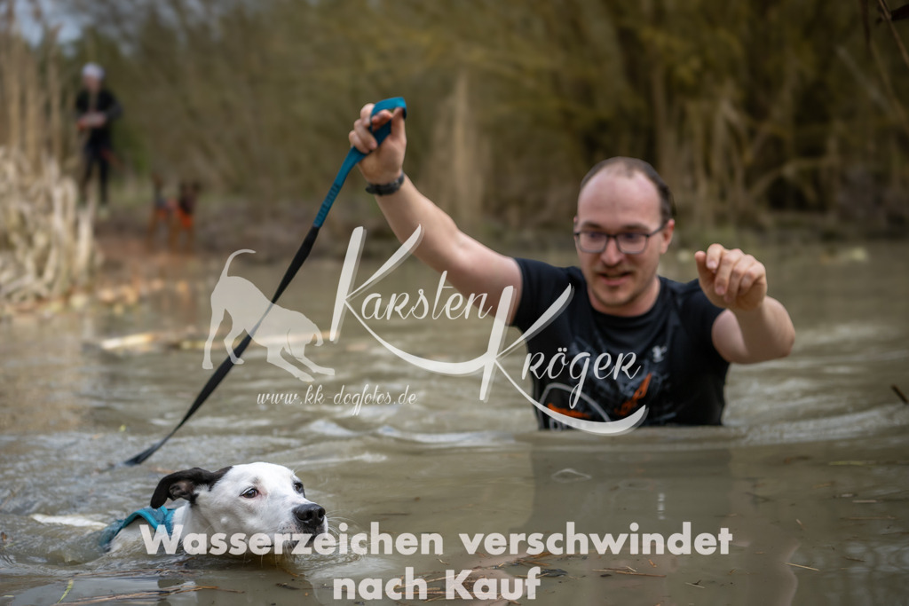 1556_ZZ94547 | kk-dogfotos