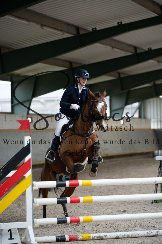 A7V03799 | Pferdefotograf