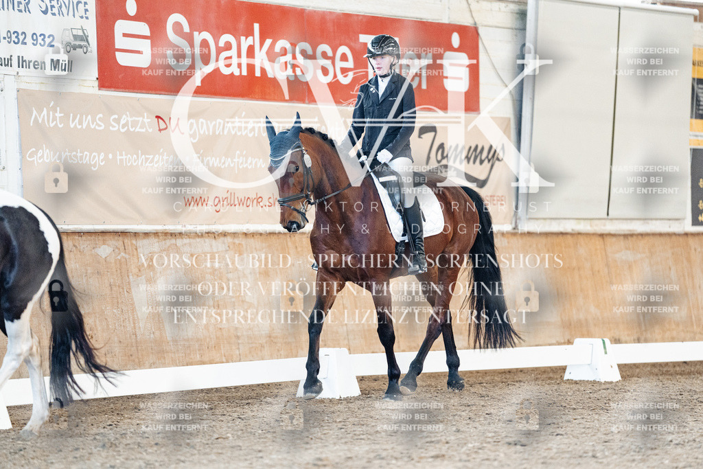 CK907695 | Turnierfotografie Pferdefotografie Trier Rheinland-Pfalz Pferdesport Reitsport Tierfotografie Sportfotografie Pferdevideo Pferdevideografie Equestrianvideography equestrianphotography  - Realisiert mit Pictrs.com