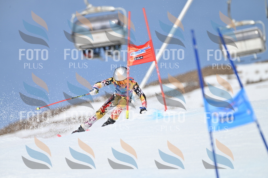 BGV_3193 | holidayphoto